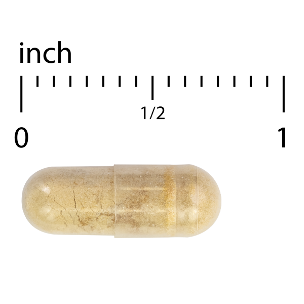 Propolis Extract EP300 60 Count
