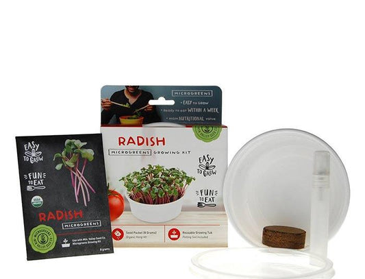 Micro Greens Radish Growing