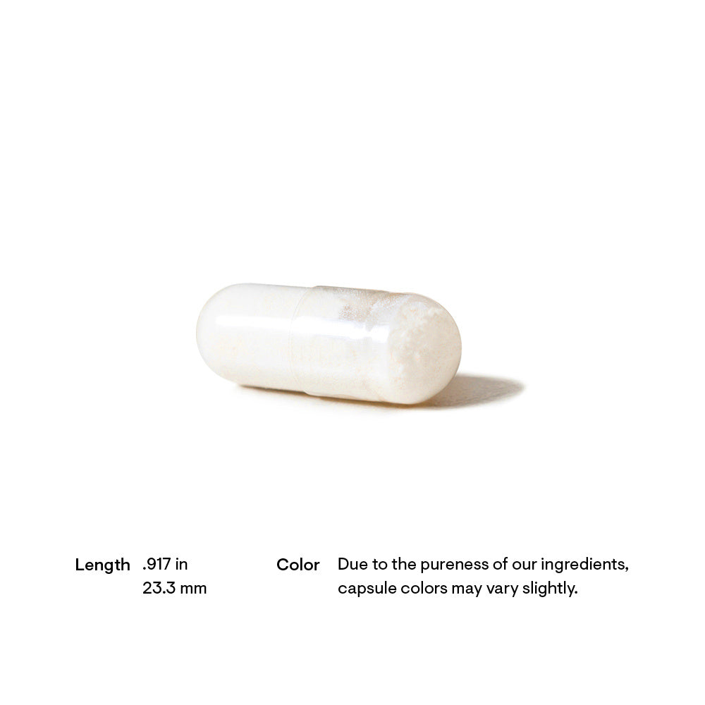 Advanced Bone Support 120 Count