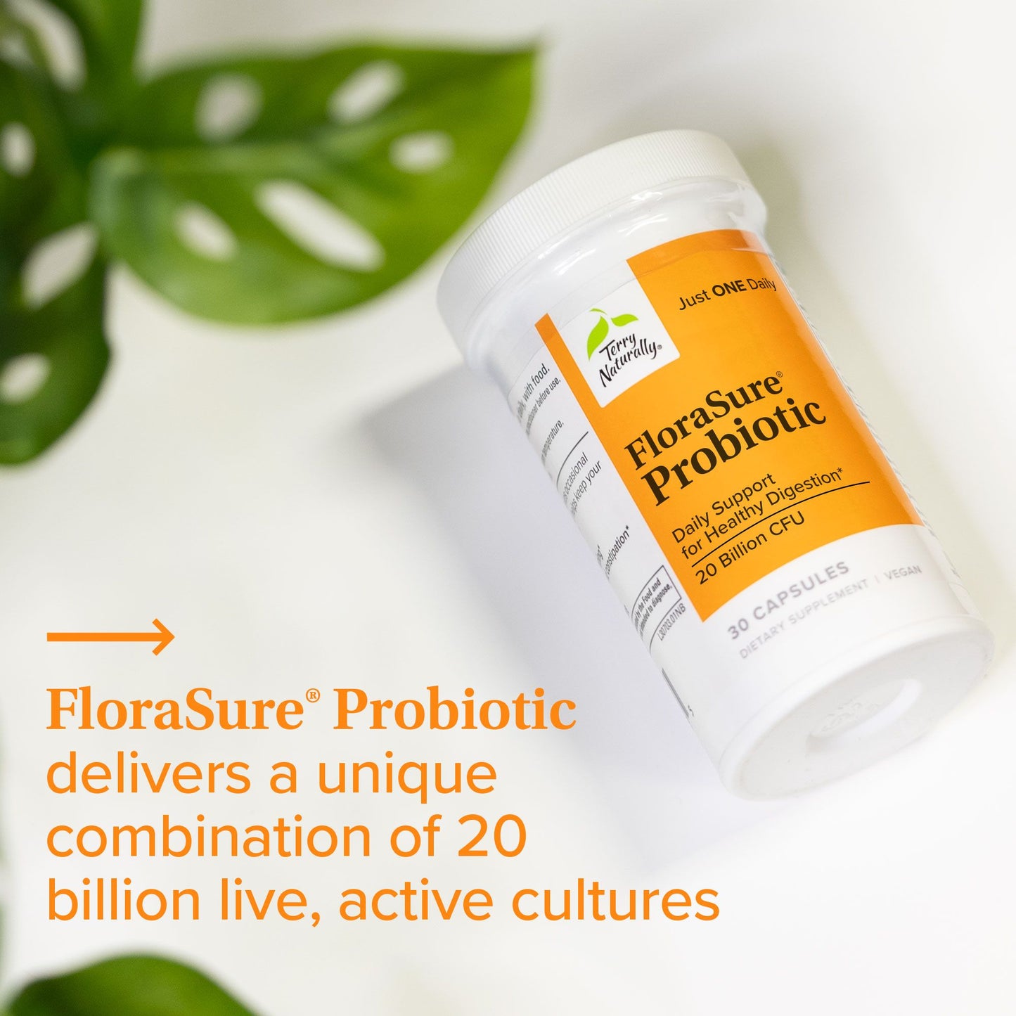 FloraSure Probitotic 30 Count